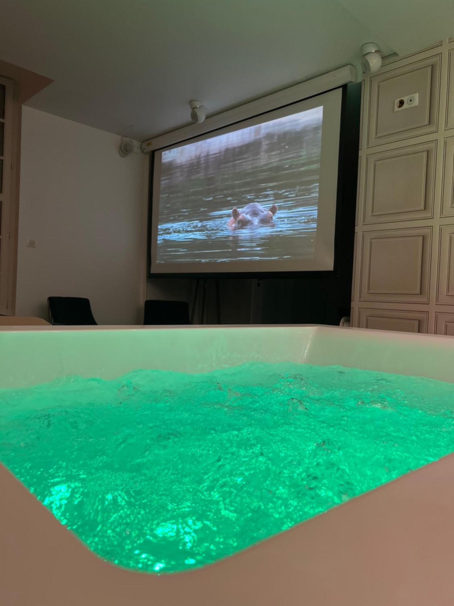 Appartement Avec Jacuzzi Sauna & Home Cinema - Nid D'Angers Exterior photo